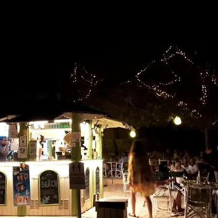 Trendy * Palma