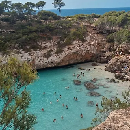 Trendy Palma